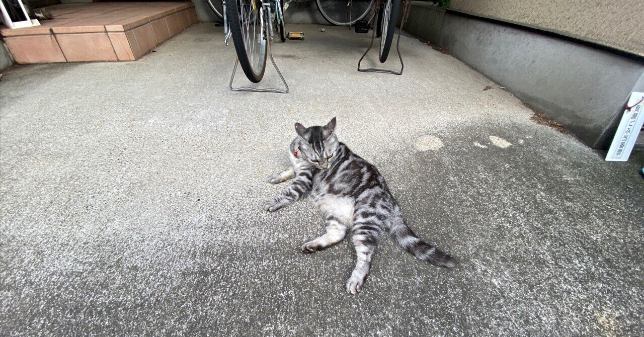 準備完了（たぶん）｜佐藤豊（タイプラボ）