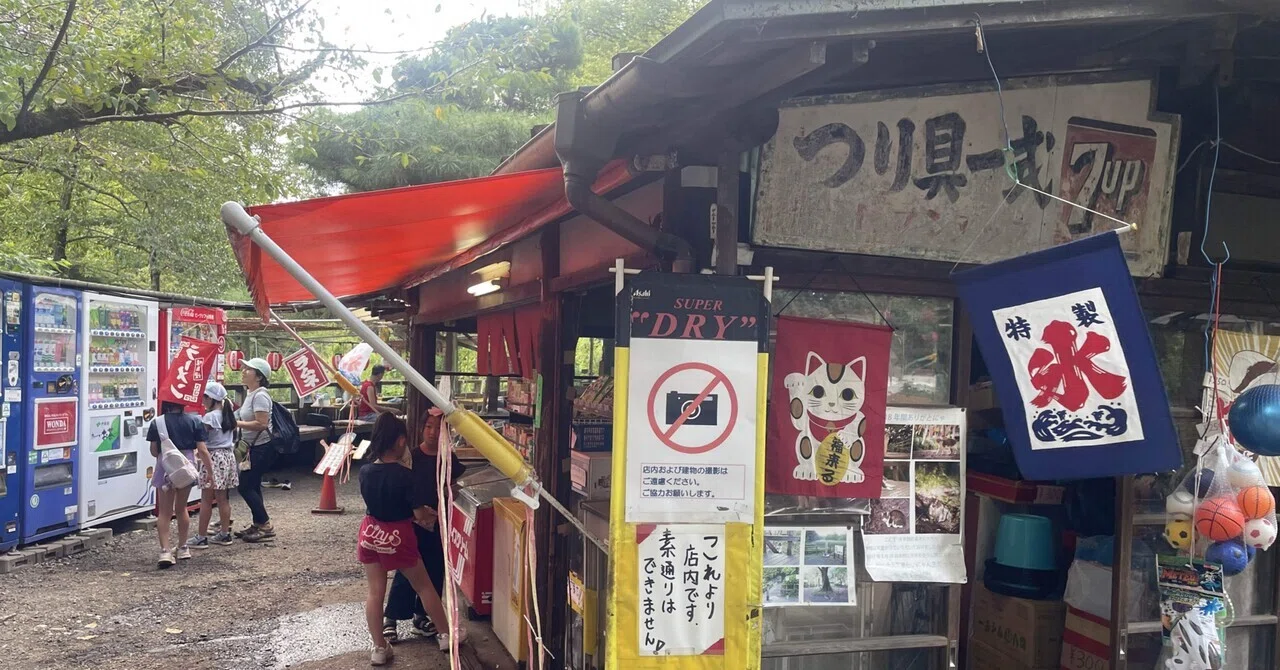 8|スーファ美