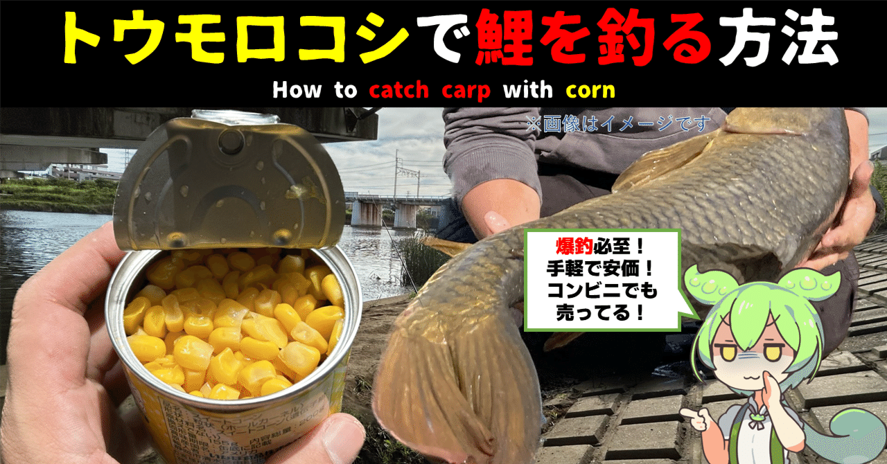 鯉釣り】ずんだもん解説！カープフィッシングの基本解説 トウモロコシ