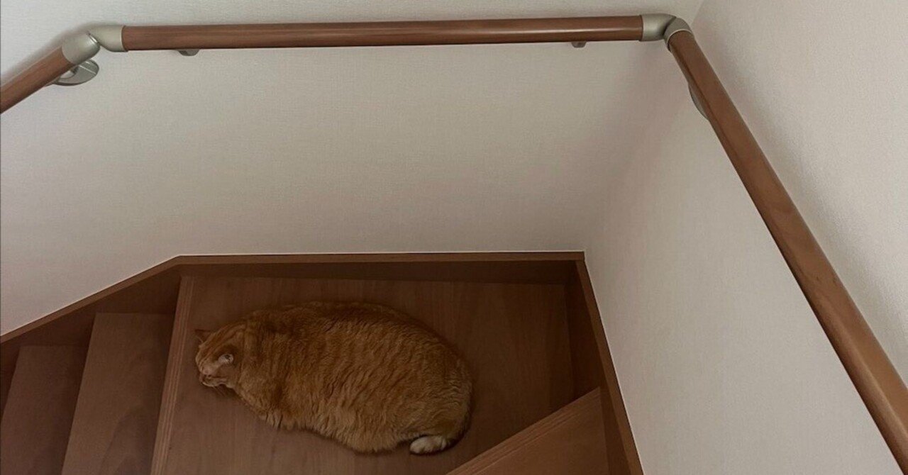 階段で寝ていたら保護色になってしまった茶トラ猫さん、あまりの同化っ