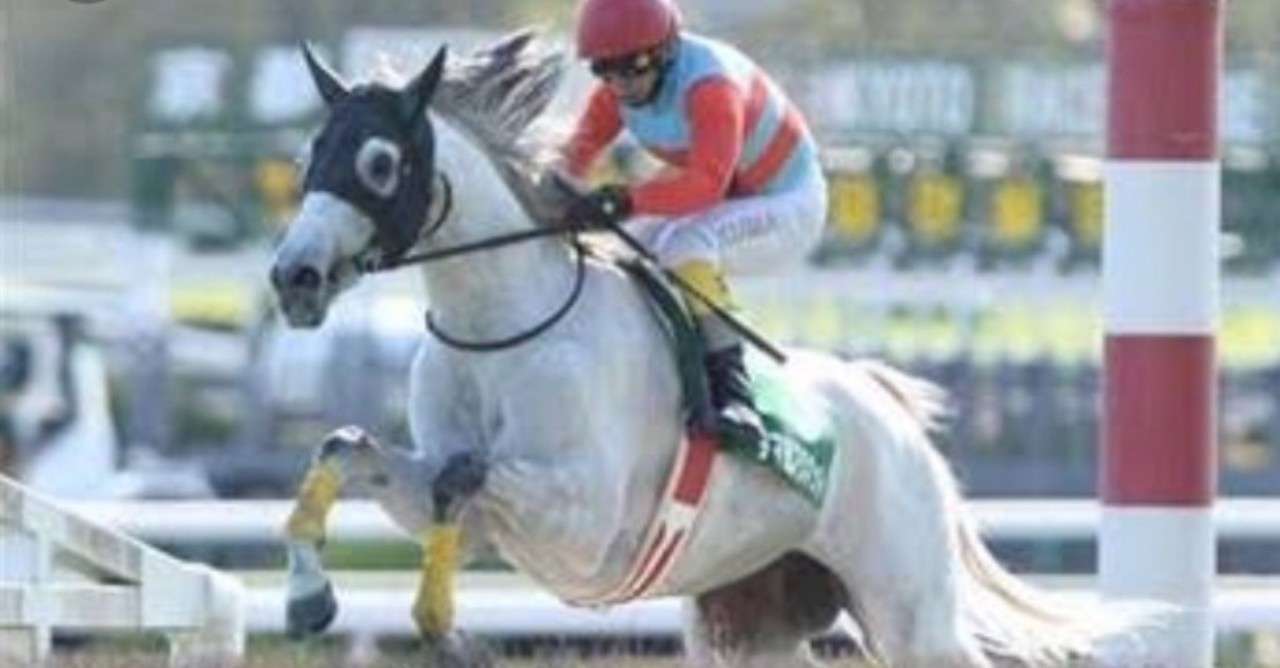 京都ハイジャンプ 19 終了分 大久保パーマン Note 京都ハイジャンプ 19 終了分 大久保パーマン Note