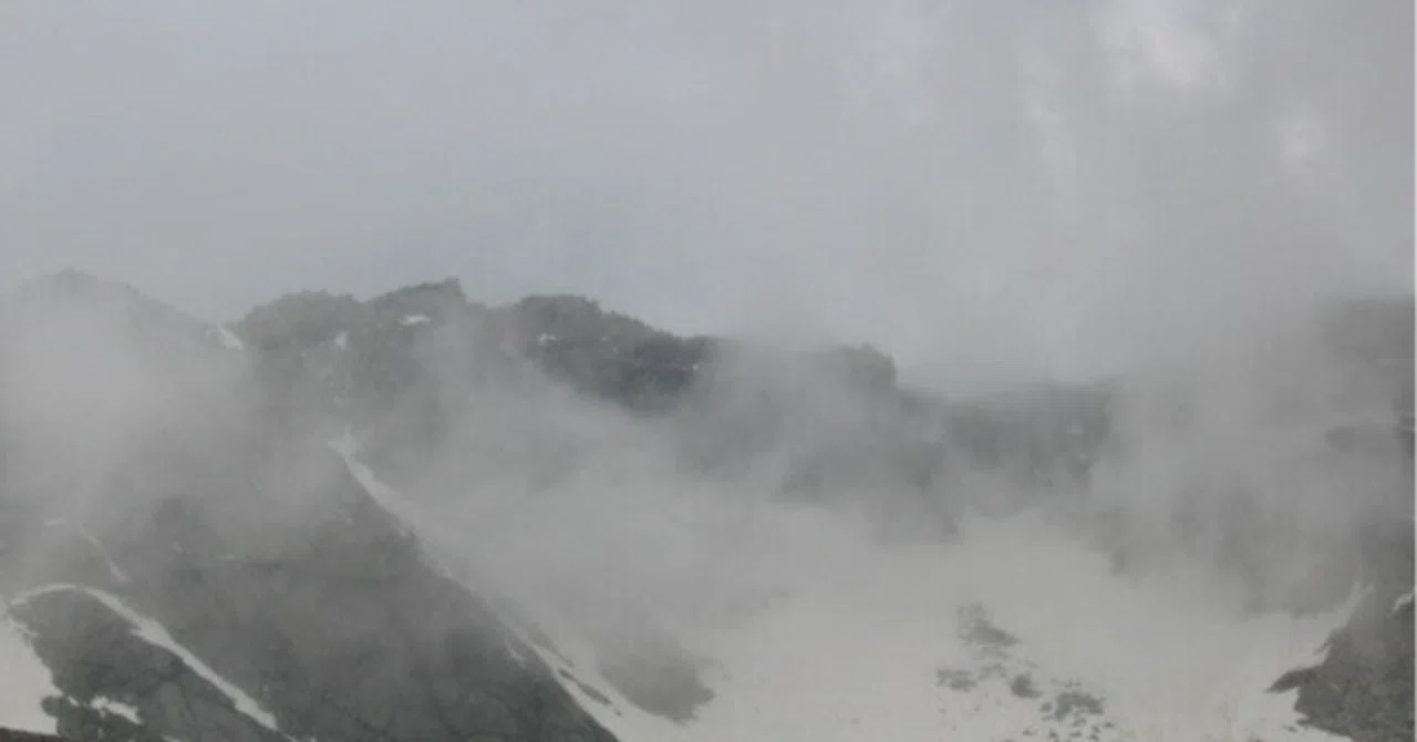 雹害の傷はまだ癒えず……なら取るべき処置は？｜荒間大輔（あらま・だいすけ）