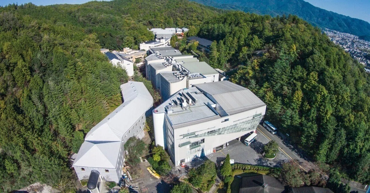 精華 大学