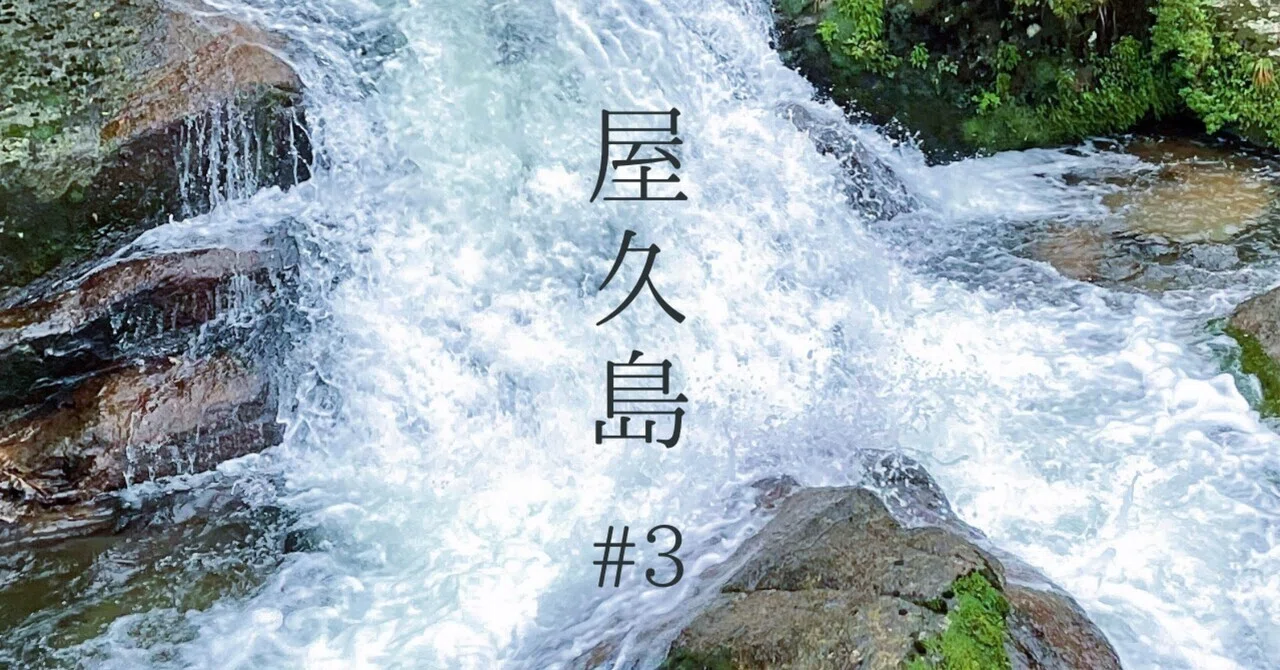 もののけ姫」の舞台となった森 白谷雲水峡を歩く｜日日是吉日