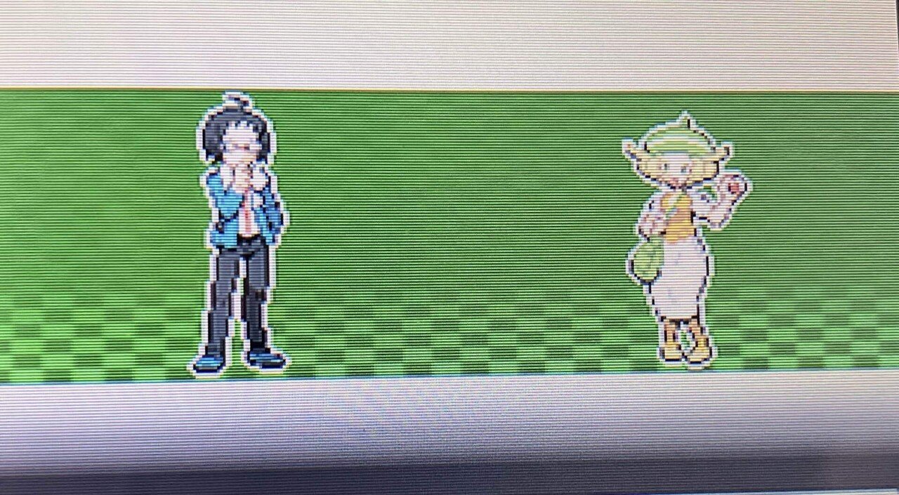 ニンテンドーDS作品「ポケットモンスターブラック／ホワイト