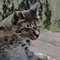 ぶっちゃけ終活(元お墓のプロ)