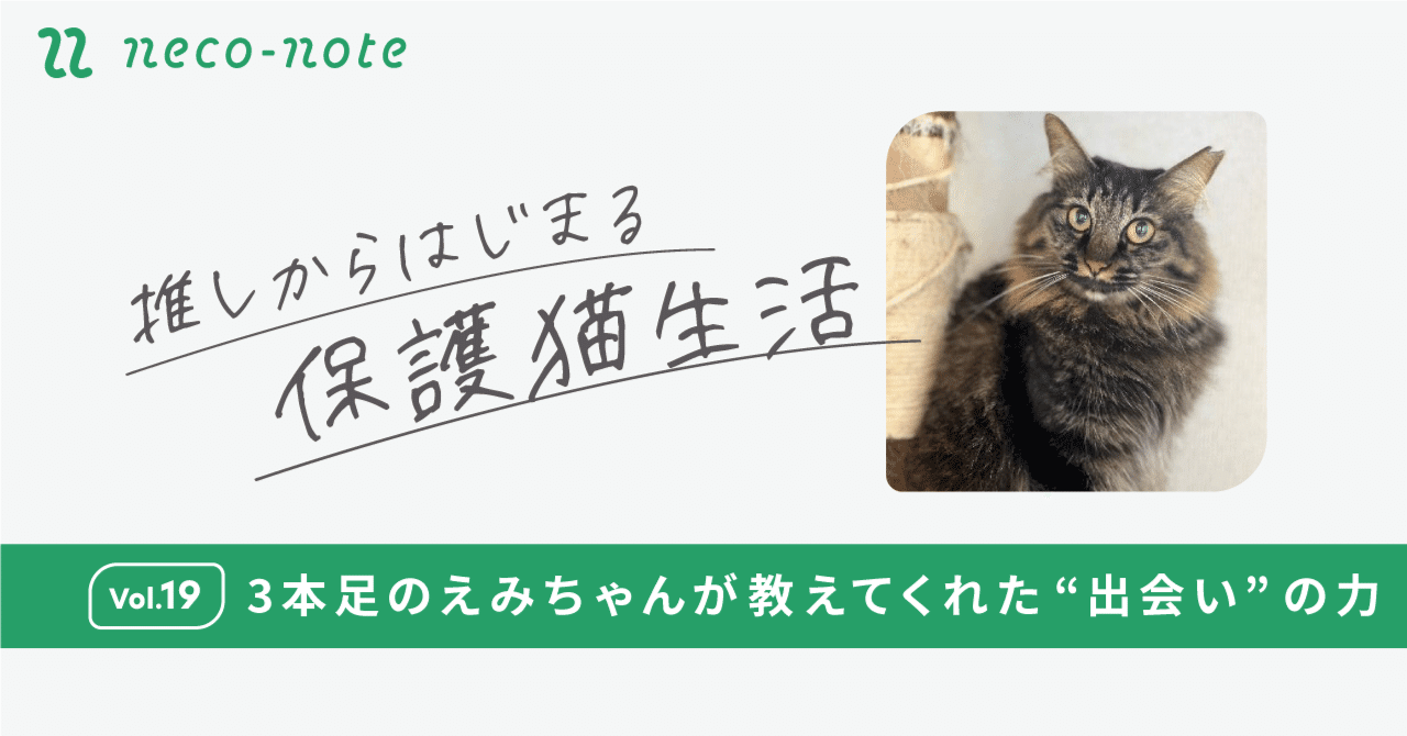 【neco-note】3本足のえみちゃんが教えてくれた“出会い”の力