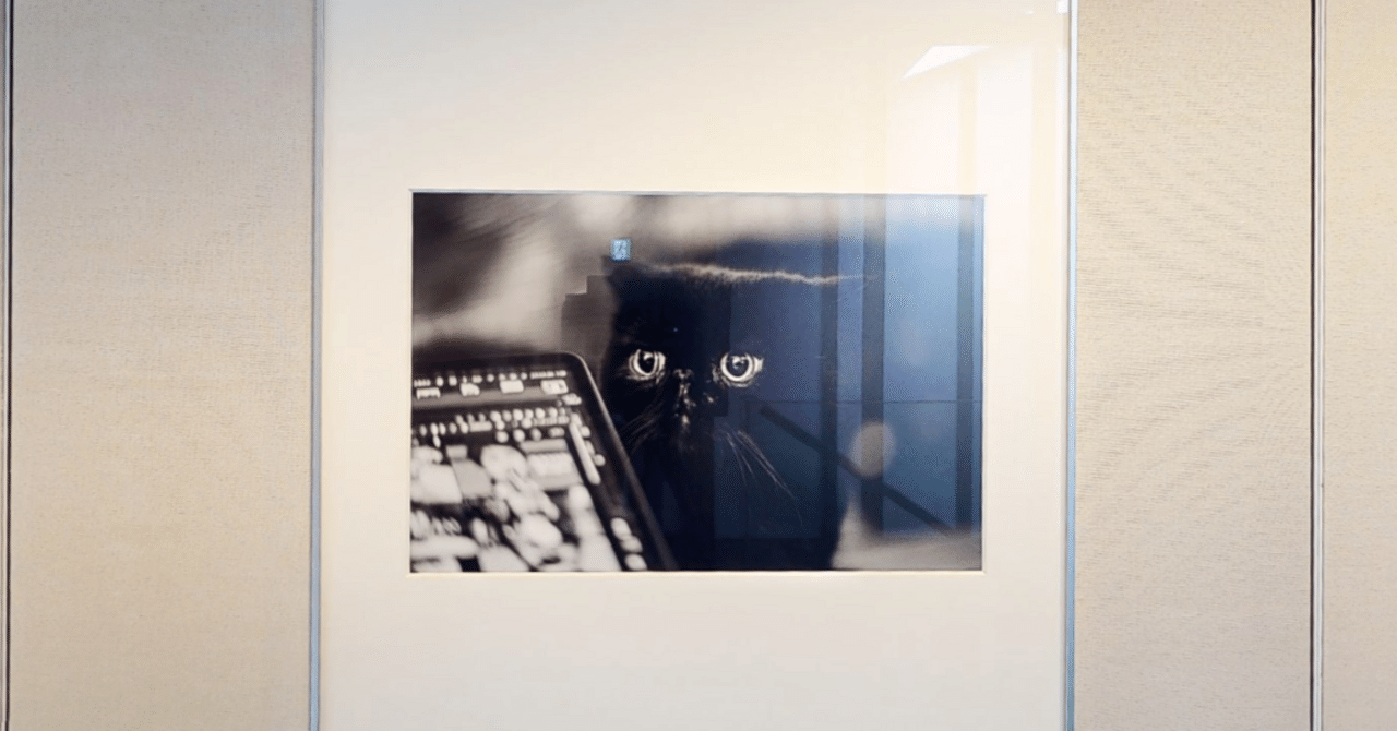 3Dで振り返る，晴れときどきライカ：質量への憧憬，ラーメンは風の