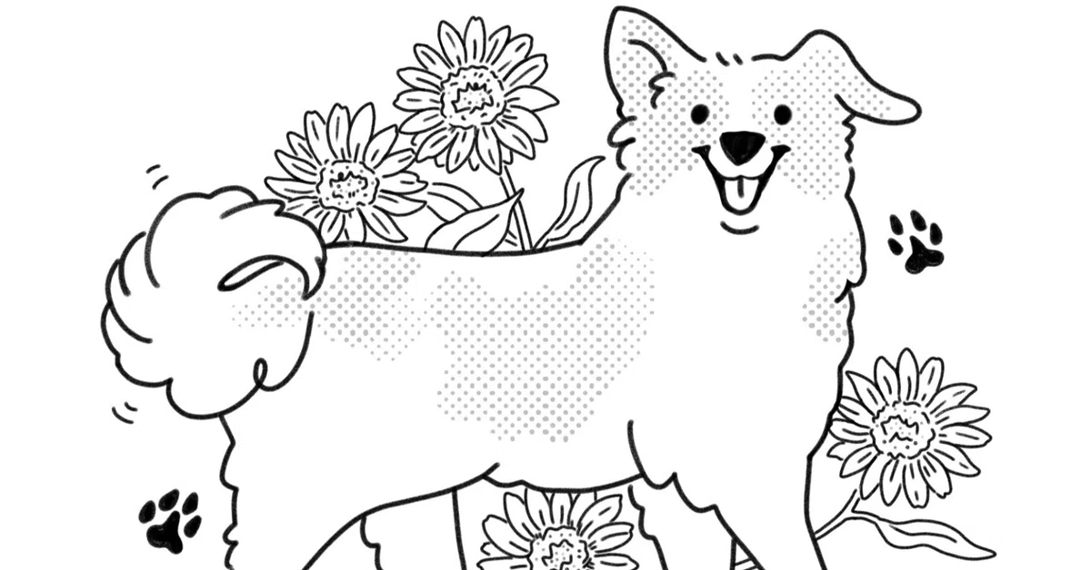 イラストオーダーについて #愛犬の似顔絵｜チナップ｜ほっこり 
