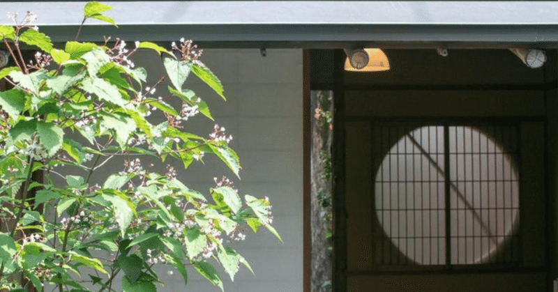 町屋でマナブ冬の養生