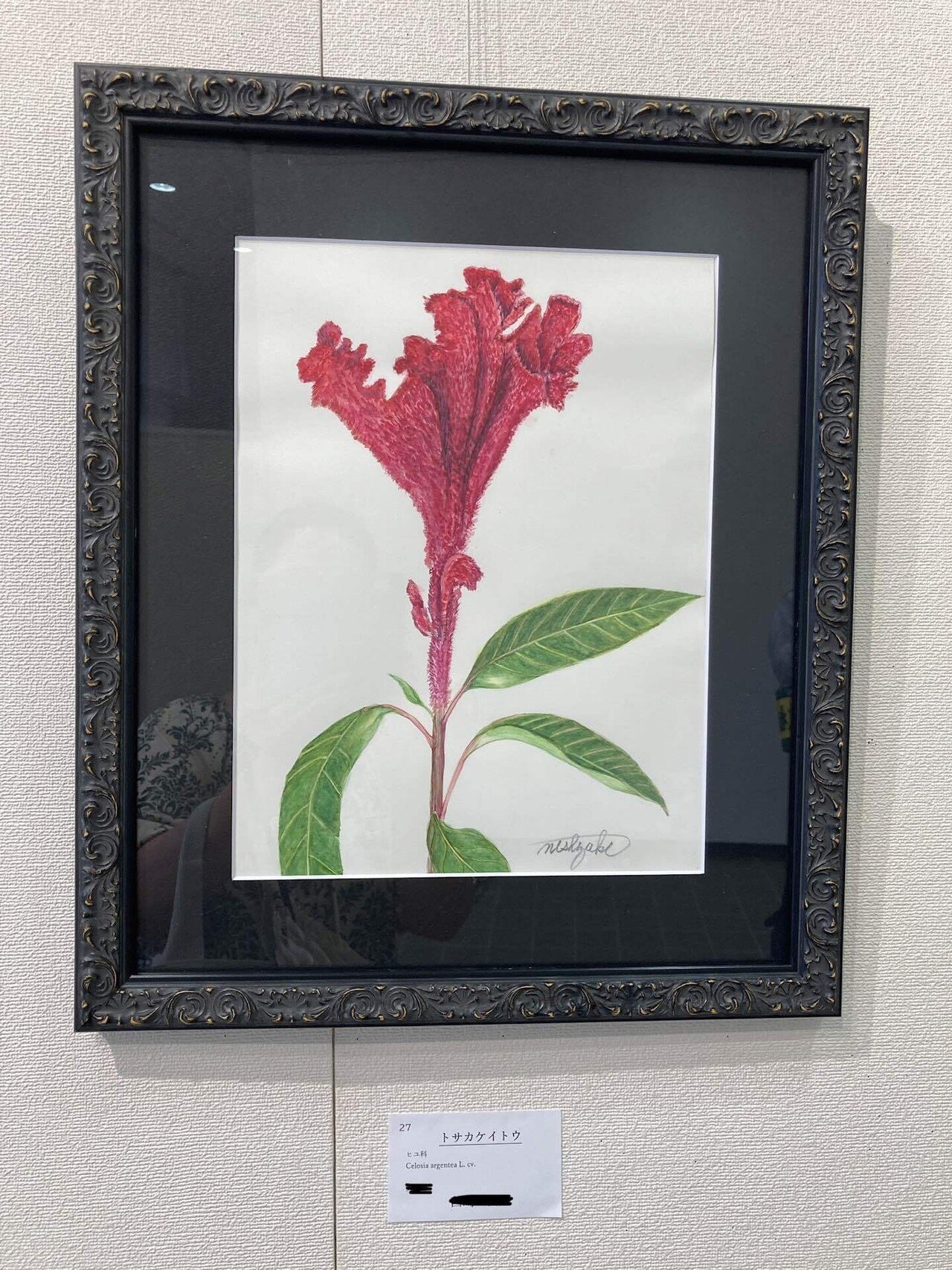 ボタニカルアート展｜ルピナス/更年期・介護世代の味方〜素肌と心に