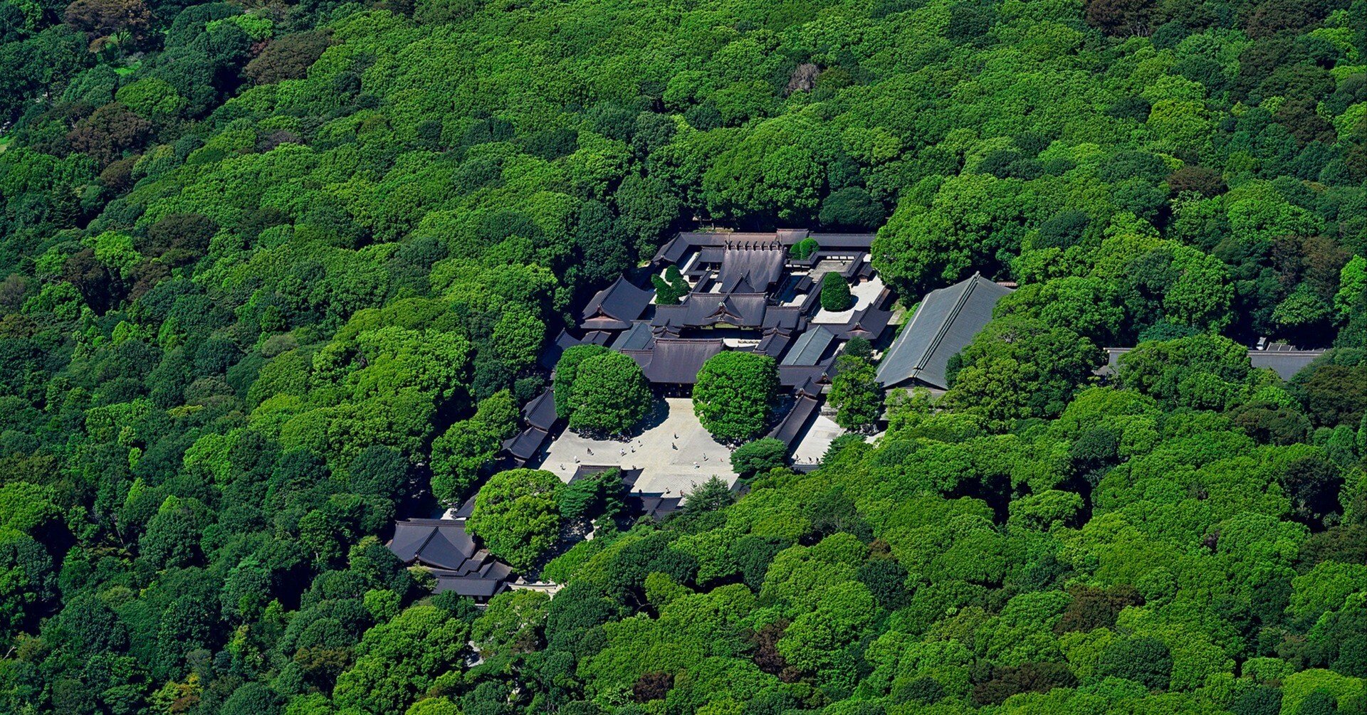 空中散歩 大人も楽しむ空中散歩 アスレチック施設東西12選 | NIKKEIリスキリング