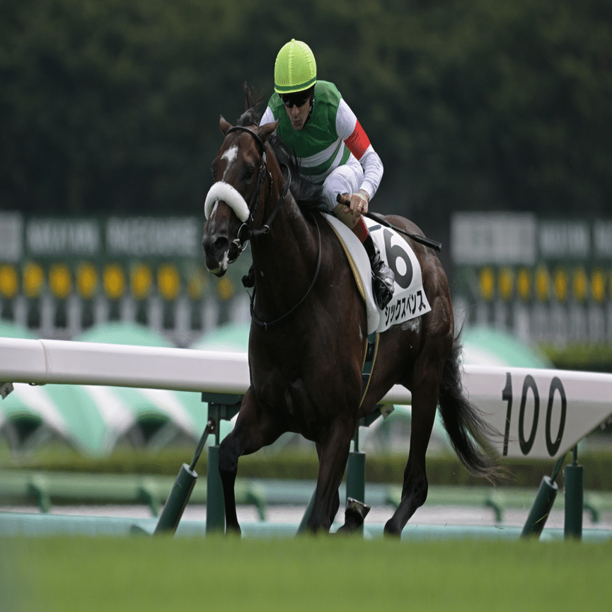 競馬 Nikkor Z180-600mm f/5.6-6.3VR レビュー｜Alice_photolog