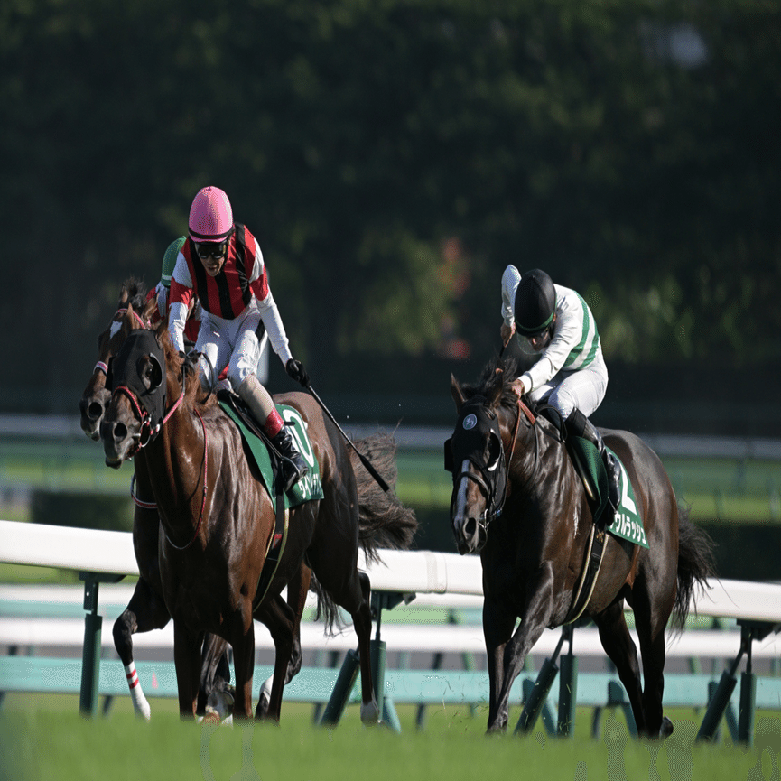 Nikkor Z180-600mm f/5.6-6.3VR レビュー｜Alice_photolog