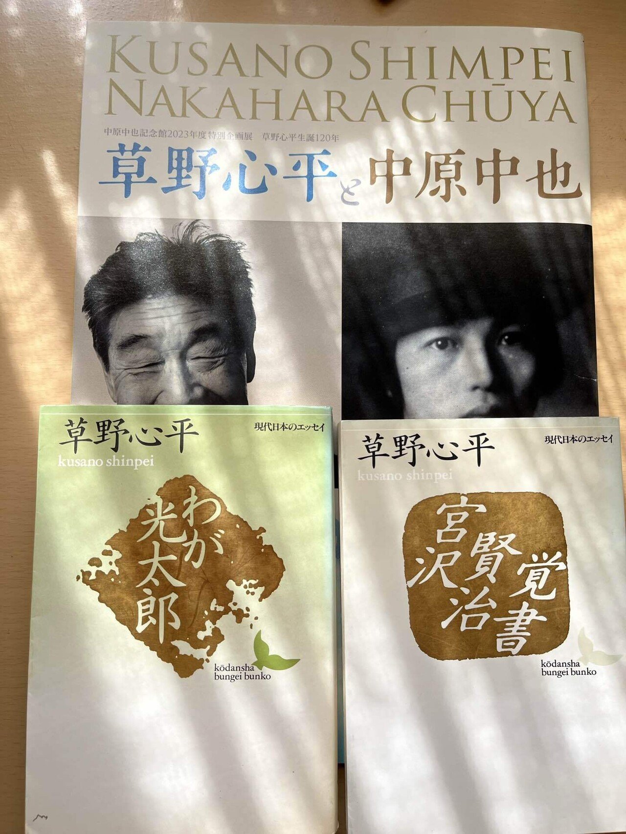 草野心平を巡る冒険｜成瀬川るるせ