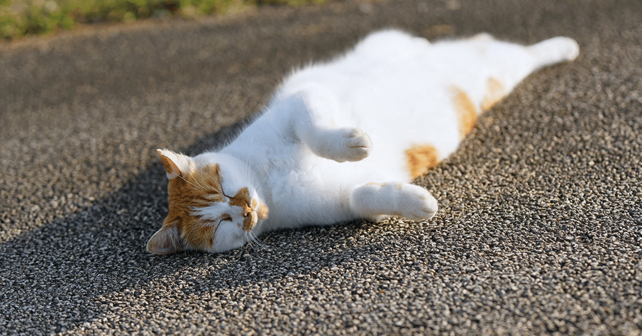 jc玉舐め キンタマを舐める猫｜潮井エムコ