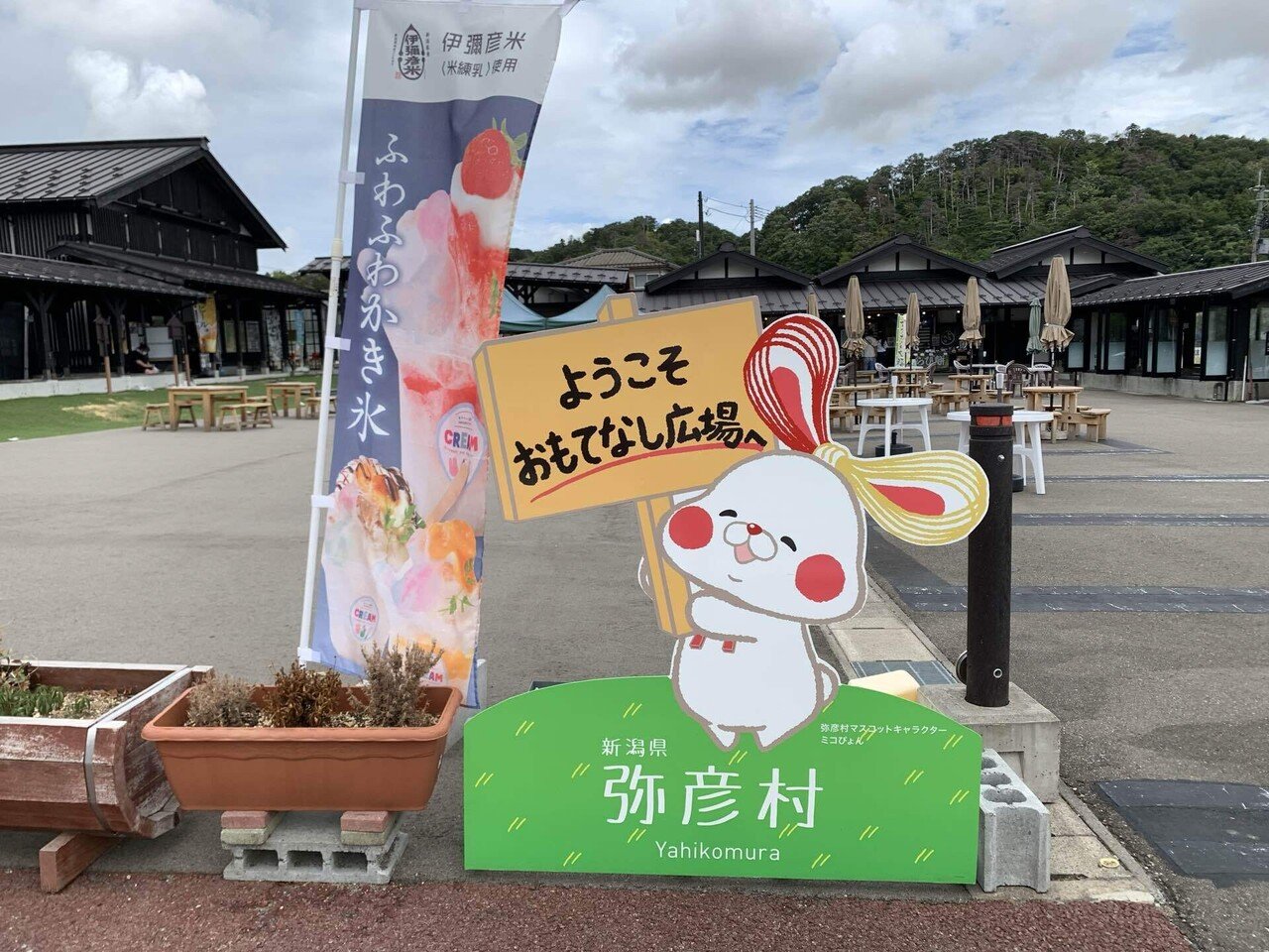 新潟旅行記～弥彦編～｜とも
