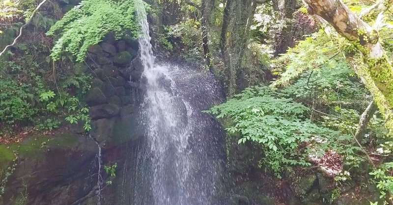 本＆温泉好きなら週末はここへ　「湯河原惣湯」でリトリート！