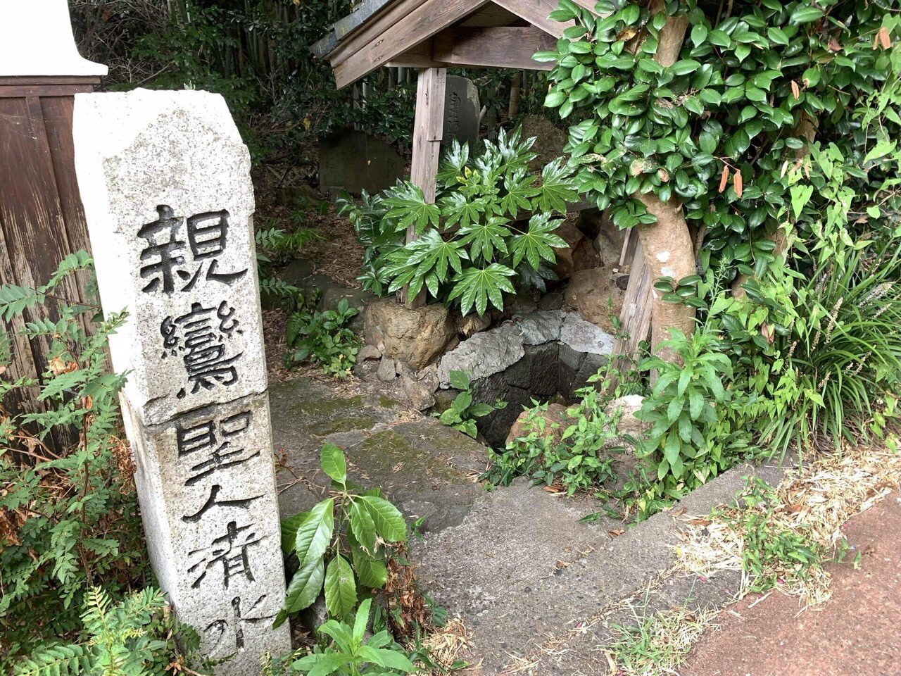 御国制改正議（おんこくせいかいせいのぎ） 書誌画像 | 刈谷市
