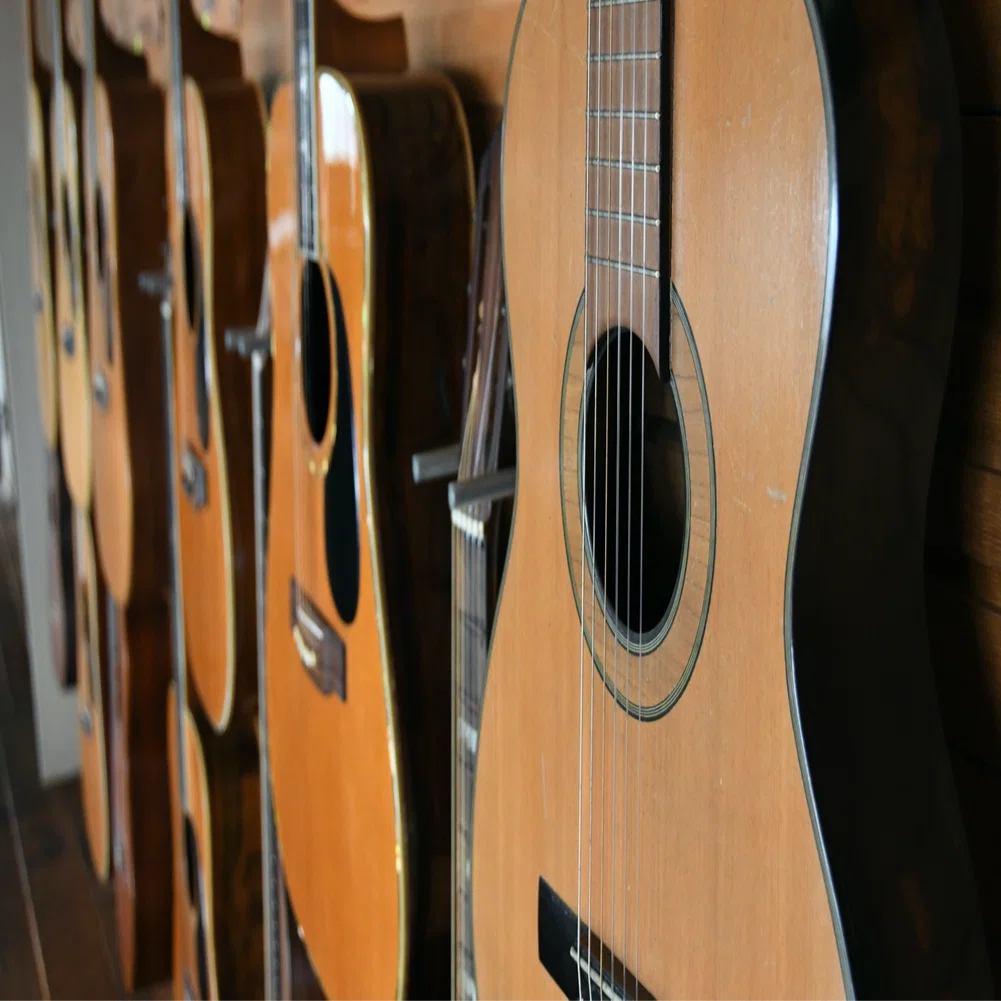 機材紹介：Archtop Tribute AT102｜Hikosans