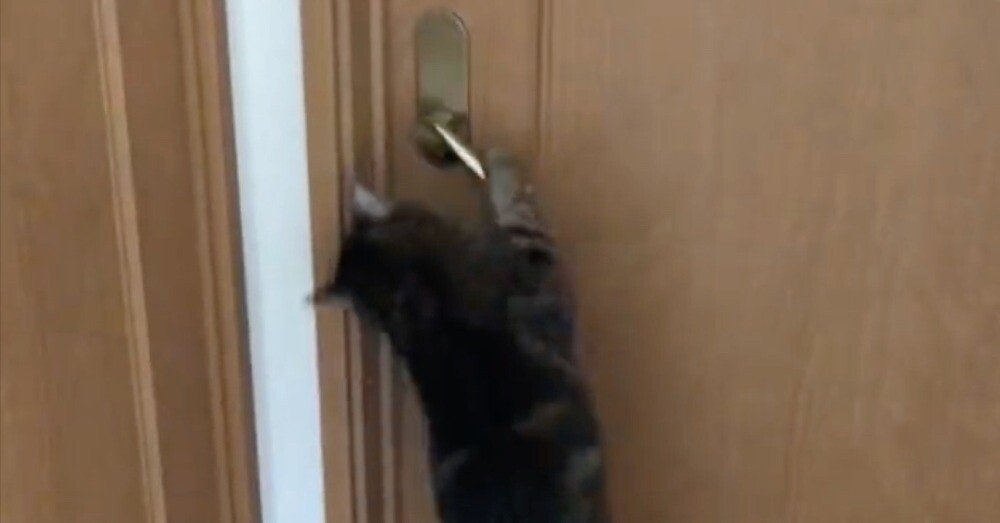 24c5dd47fdcd74c24a5ecfbb65dca5