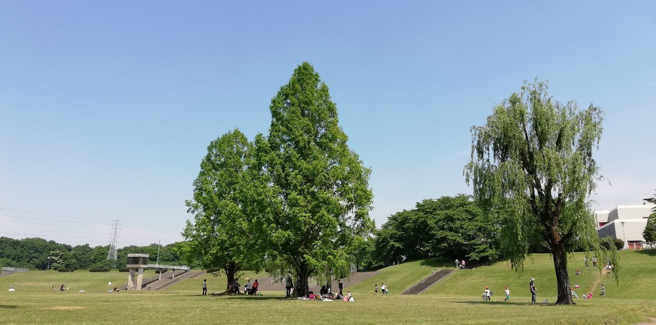 大宮第二公園でジョギングしてたらジェラートうまかった話 Mc Kurita Note