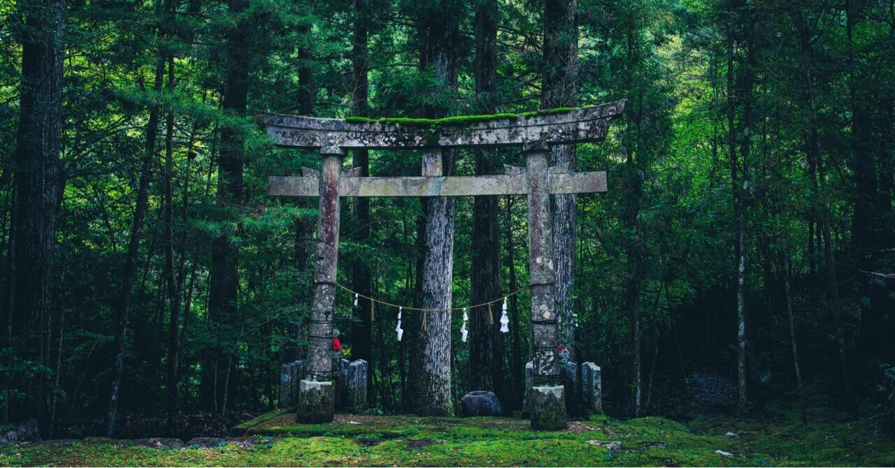 写真と民俗【物部村・いざなぎ流】～呪と祓いと式～｜メダカちゃん