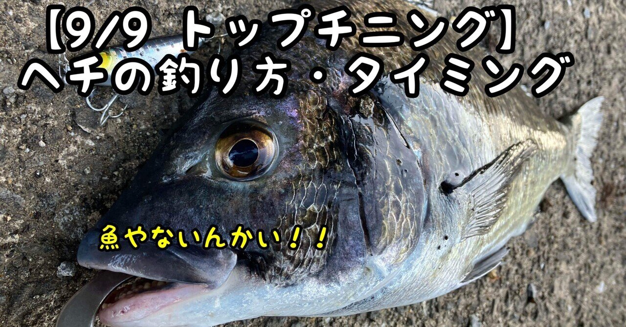 コラム】2023トップチニング振り返り（総集編）｜ぐっちあっきー