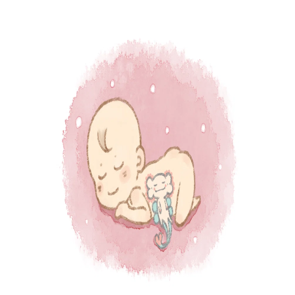📕絵本ができるまで①「ふくじのふくちゃん」｜すずきたかはる