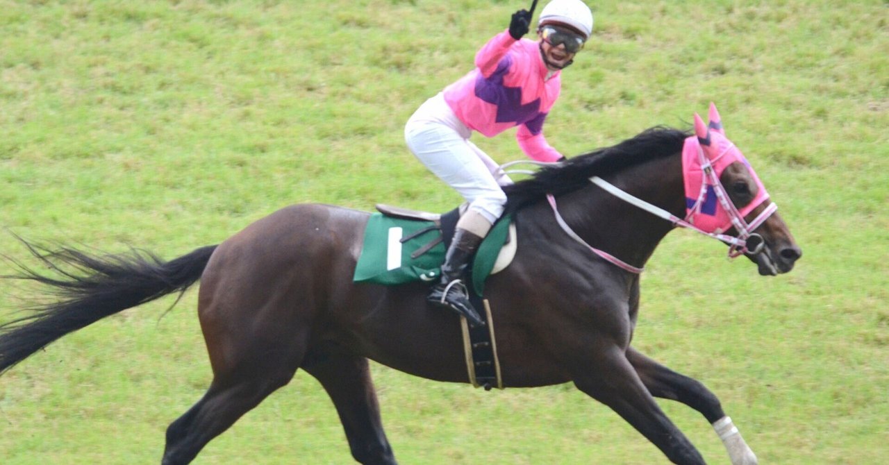 阪神ジャンプステークス予想