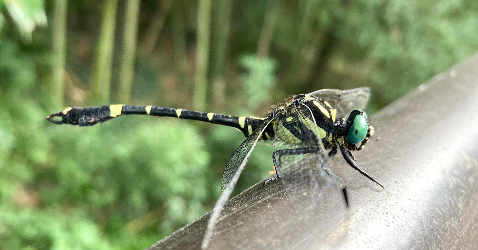 91f37bf01f36e3553fe1fd608fbfb4