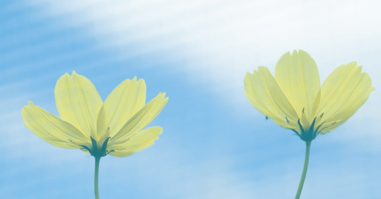 臨床心理士と公認心理師って？／あかつきこころの相談室に心理士が増えました。