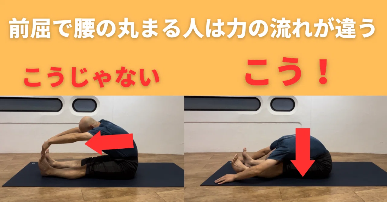 長座 体 前 屈