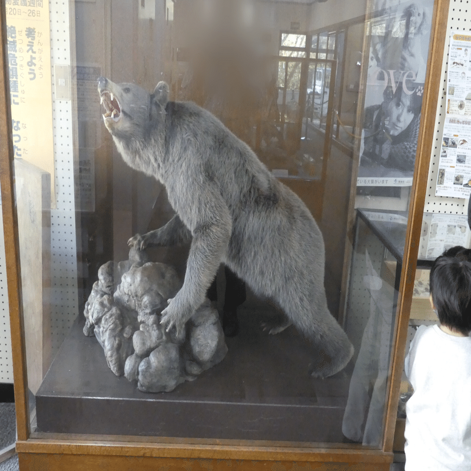 高岡古城公園 動物園｜風鷹