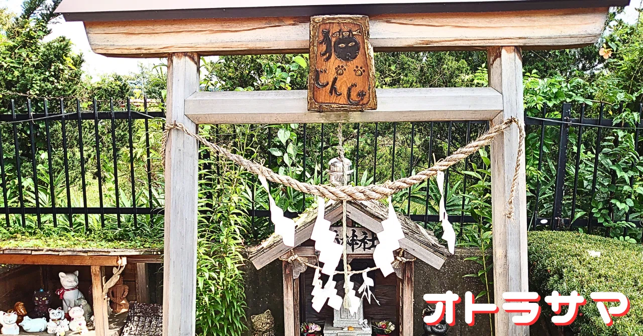鳥居と猫の小紋 旅猫いいちゃ💖大縣神社⛩️ 可愛い小さな鳥居もあるね⛩️ 梅祭り
