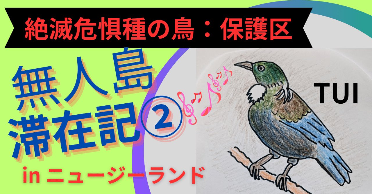 絶滅危惧種の鳥🌏無人島滞在記②保護区inニュージーランド💛美声の