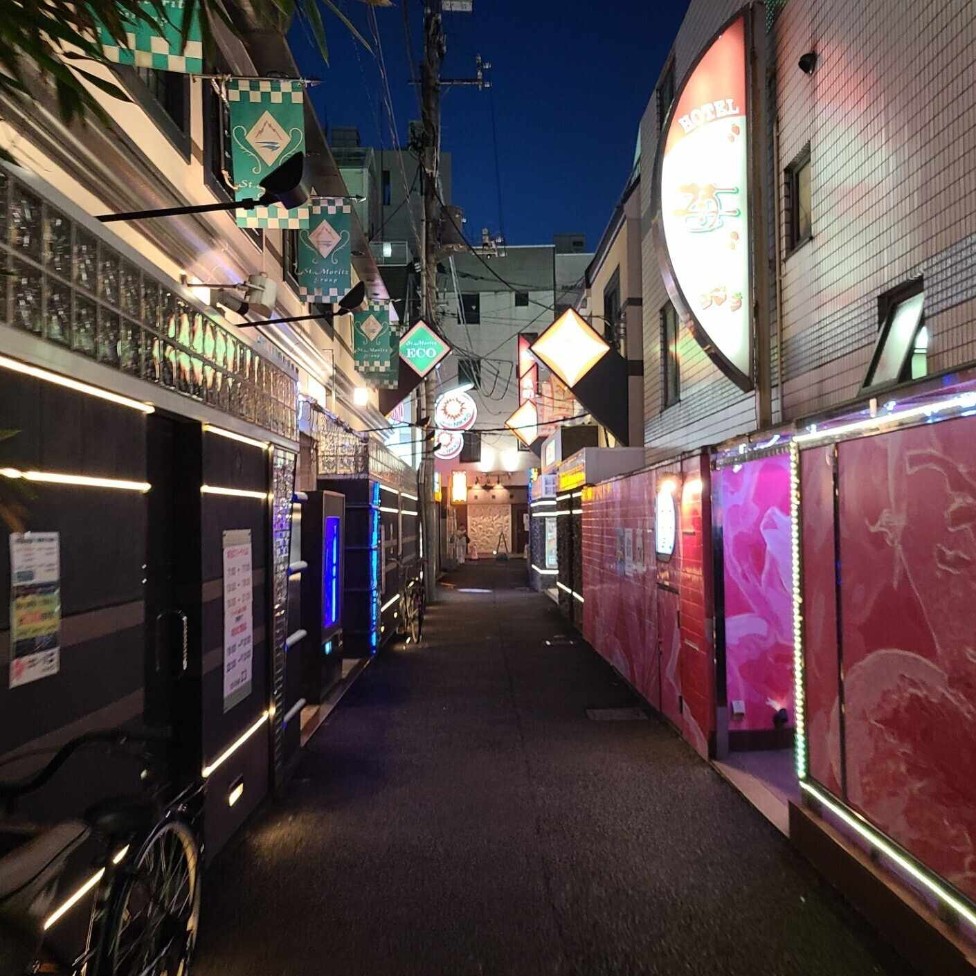 遊廓と地域社会 : 貸座敷・娼妓・遊客の視点から Amazon.co.jp: 遊廓と地域社会: 貸座敷・娼妓・遊客の視点から