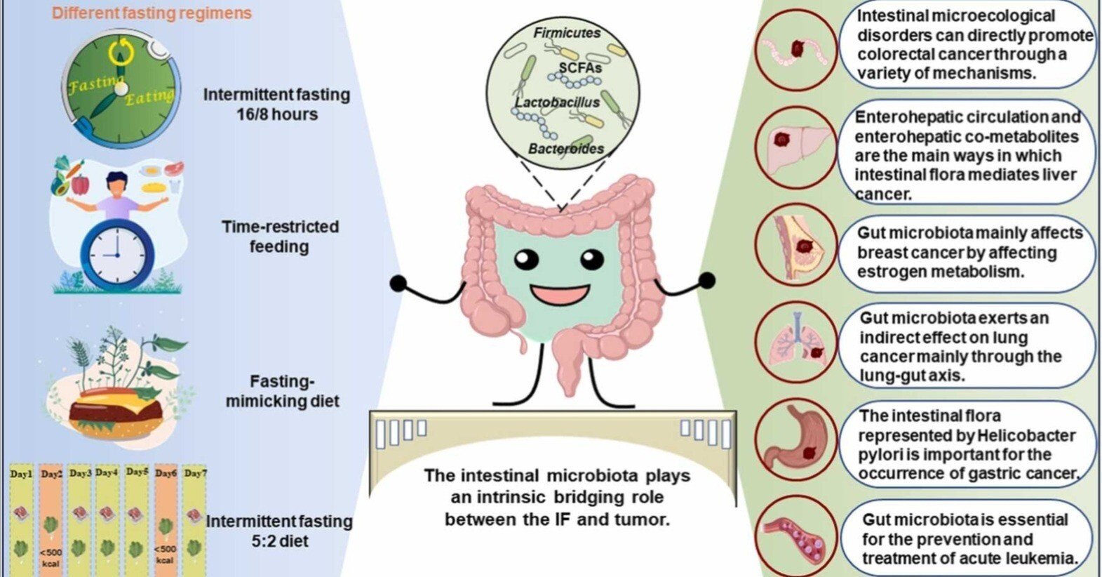 d286b8f8741a55bbcd259912820e71