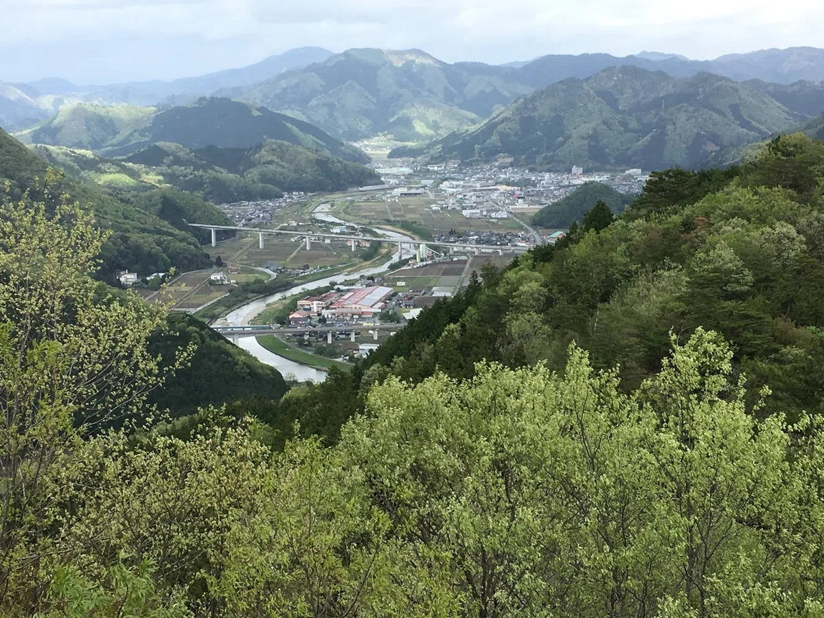 画像