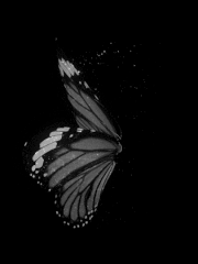 あなたは信じられますか 飛行機雲だと思っているあの煙は人口選別削減をおこなっているんです 報道されないニュース なかやまて Note