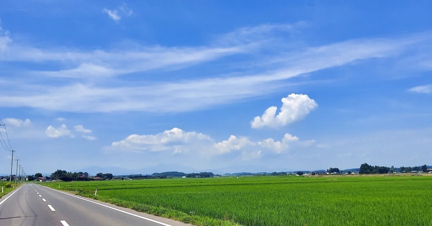 人生を楽しむの画像