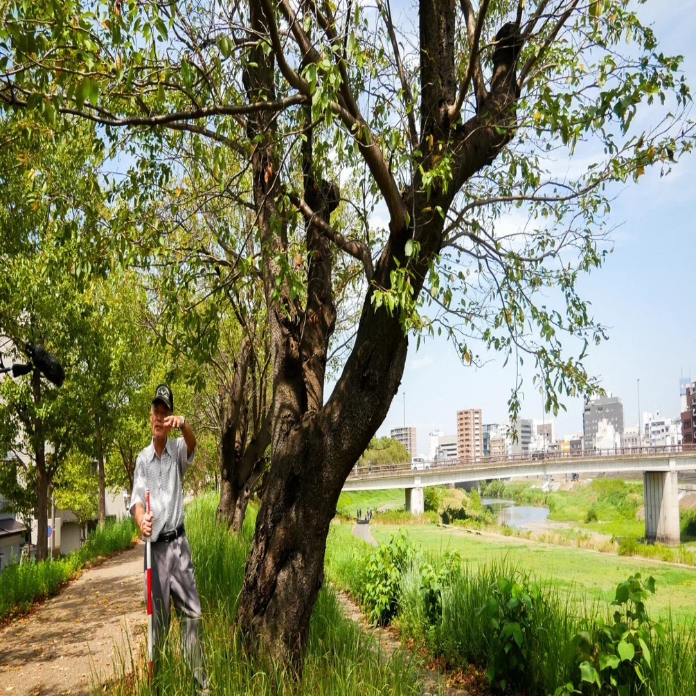 レポート「まちの桜守サークル」｜ふくまち大学