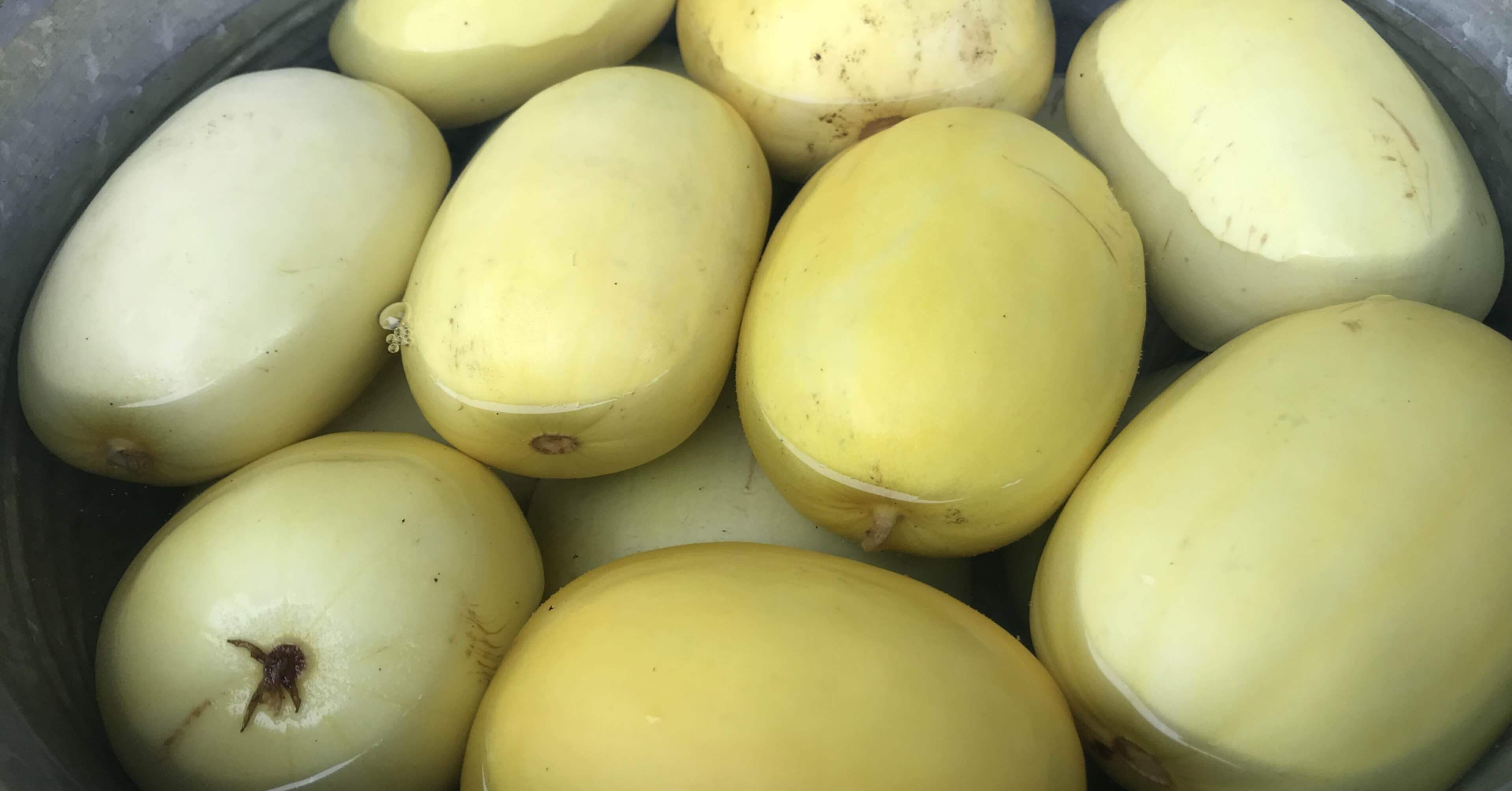 f696030496fb885ddc10dc0f7ced44