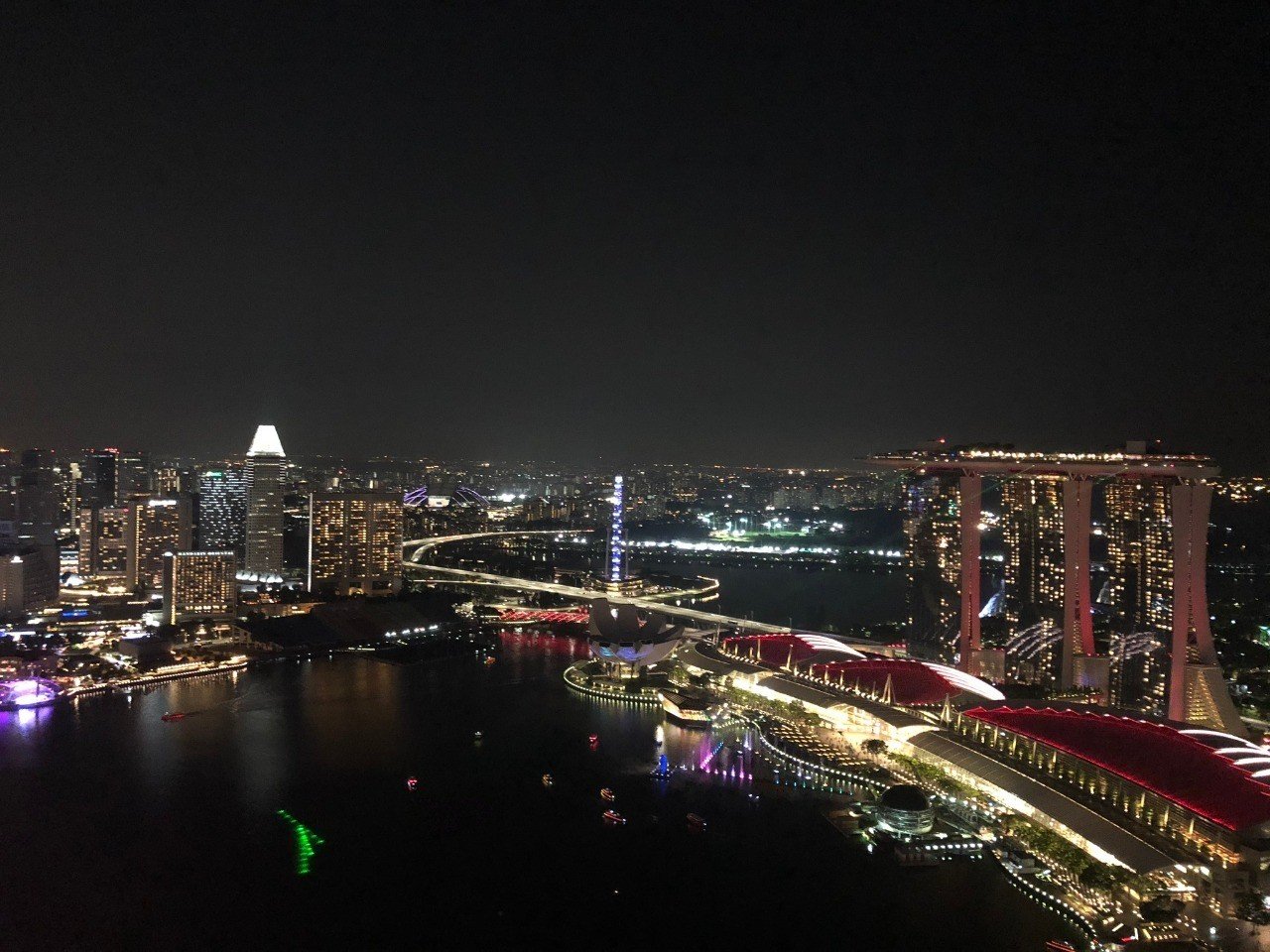 シンガポールで起業したこと 情弱カメレオン Note