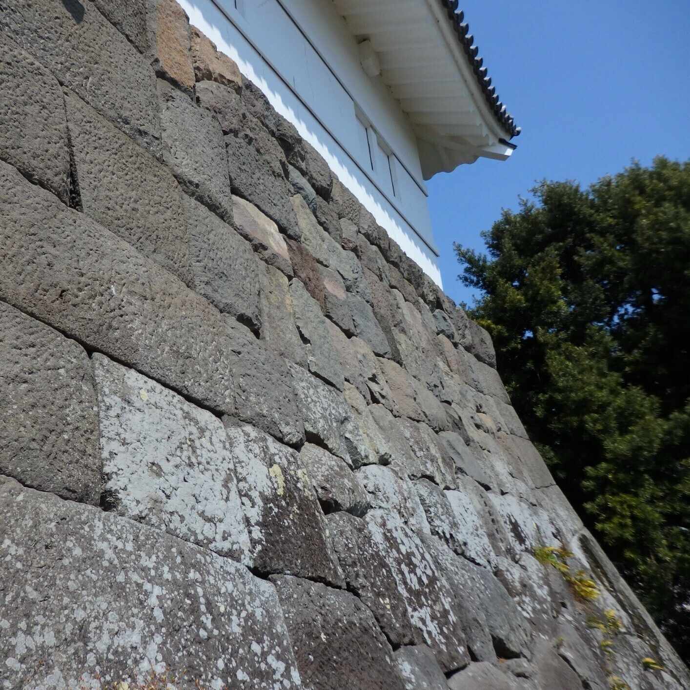 隣の芝生は芝生 隣の芝生は何色なのか。（不倫・離婚・嫁姑・子育て、時々美容）