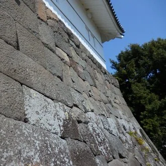 隣の芝生は隣の芝生