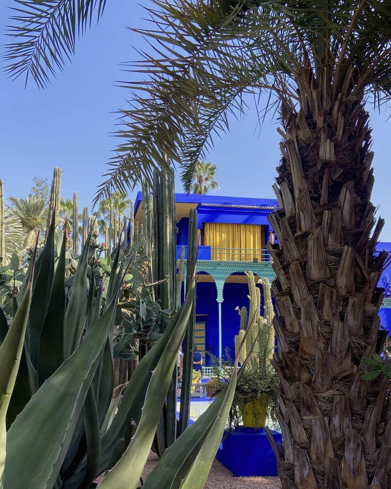 極美！モロッコjorf産の光沢が美しいCrotalocephalus モロッカン ランプ L レッド | トモ・コーポレーション｜世界の民芸