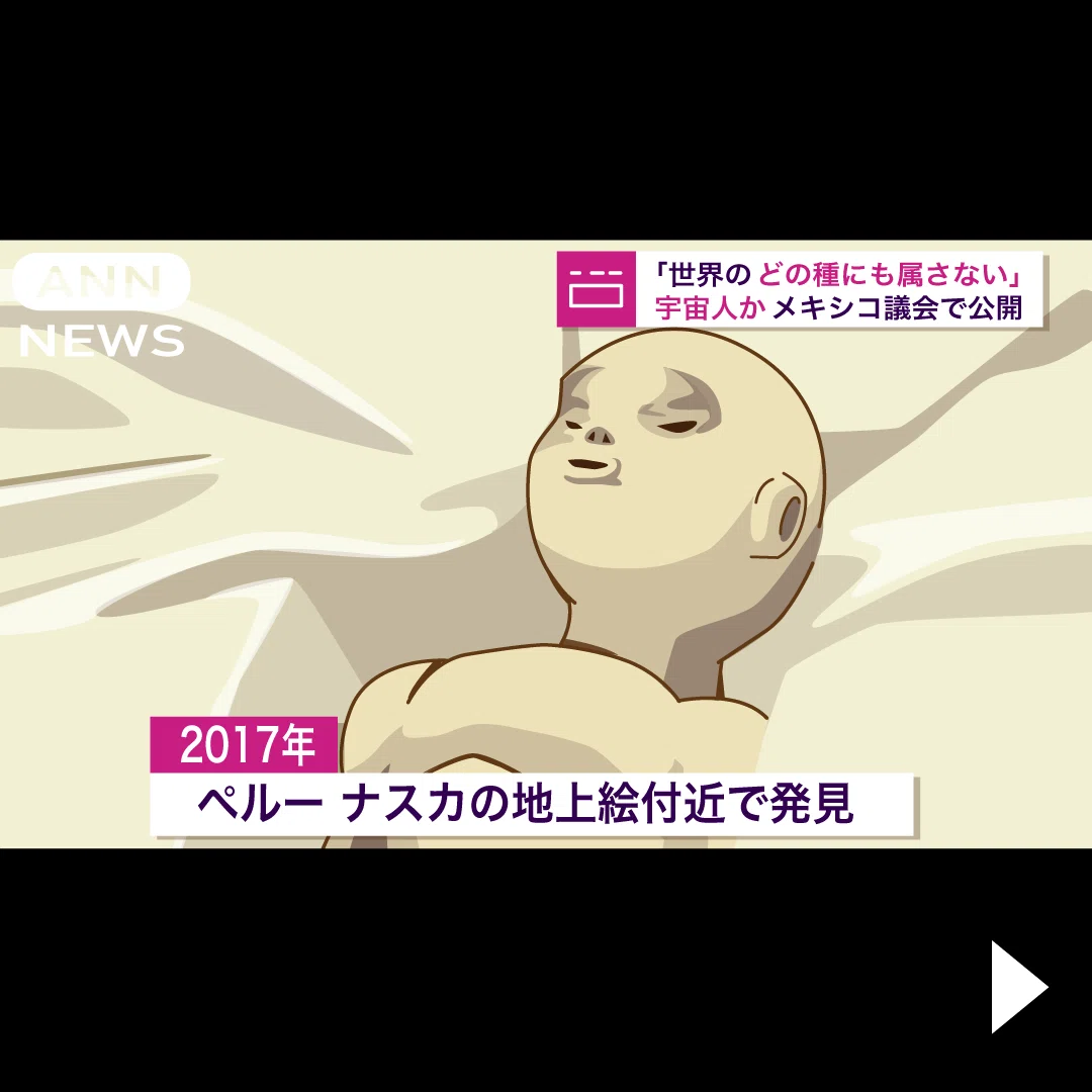 MINDINFECTION メキシコ宇宙人のミイラ フレキシブル素材 33cm 【公式