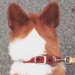 Whitney Houston ホイットニー・ヒューストンDeborah Cox Whitney Houston - You Give Good Love (Live from Feels So Right