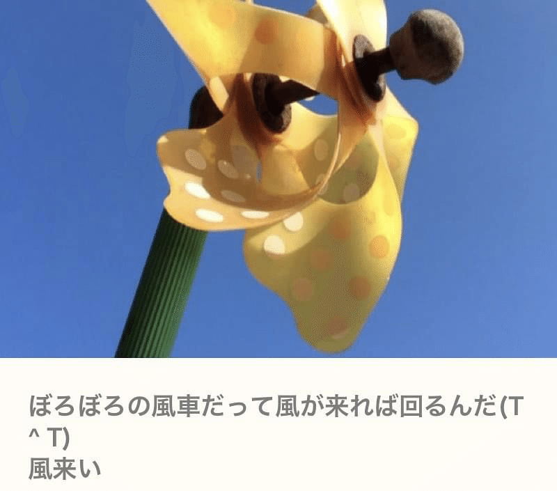 画像18